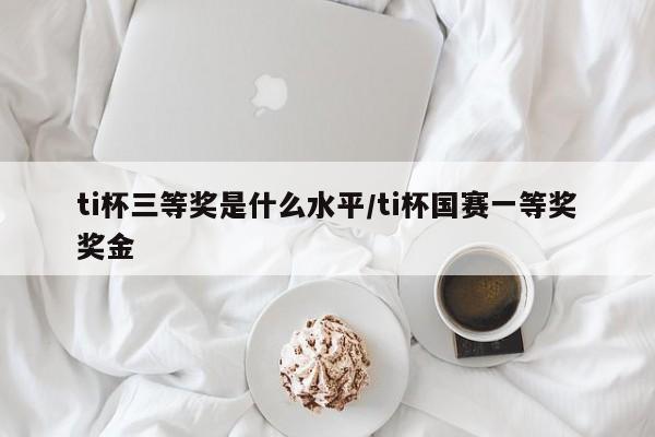 ti杯三等奖是什么水平/ti杯国赛一等奖奖金